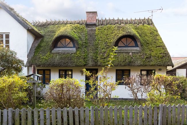 Brandskov 29, Vråmose, 4654 Faxe Ladeplads